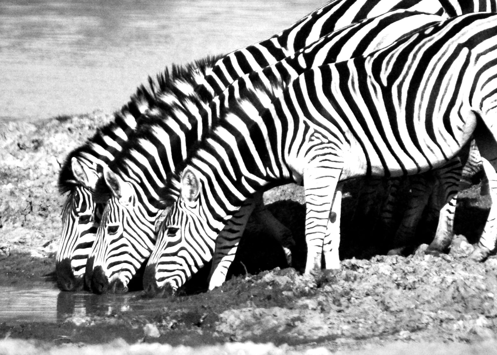 Capturing Life’s Moments photograph 24 by Jeff Sallot